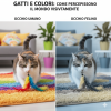 Gatti e colori: come percepiscono il mondo visivamente
